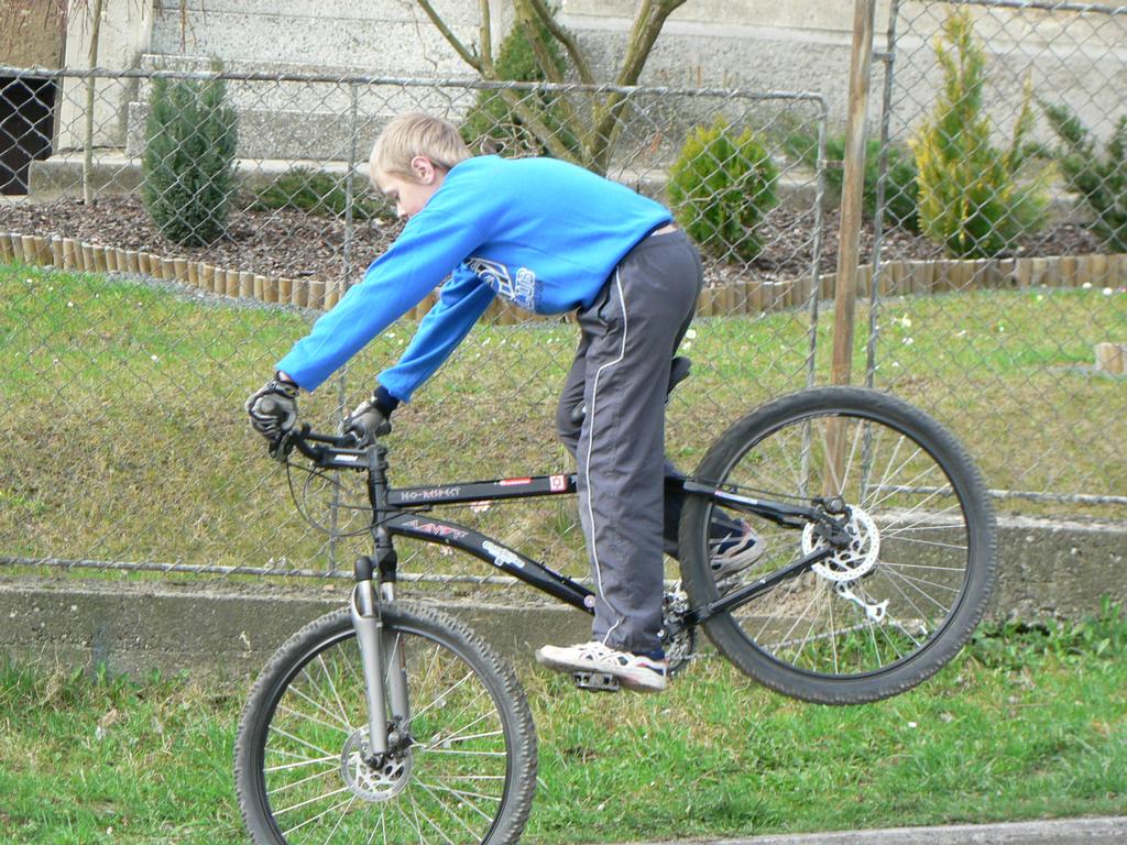 DAVID:NOSE MANUAL